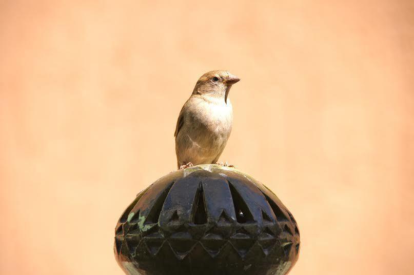 Riad La Maison Du Desert Oulad Driss ภายนอก รูปภาพ