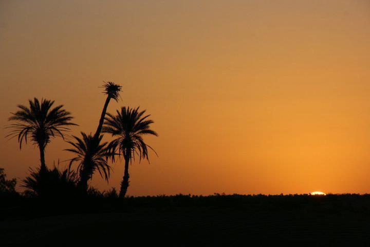 Riad La Maison Du Desert Oulad Driss ภายนอก รูปภาพ